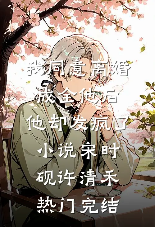 我同意离婚成全他后，他却发疯了小说宋时砚许清禾热门完结