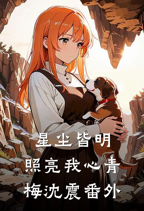 星尘皆明，照亮我心青梅沈震番外