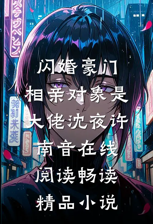 闪婚豪门:相亲对象是大佬(沈夜许南音)在线阅读畅读精品小说