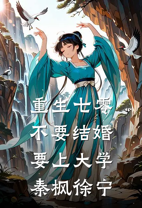 重生七零，不要结婚要上大学秦枫徐宁