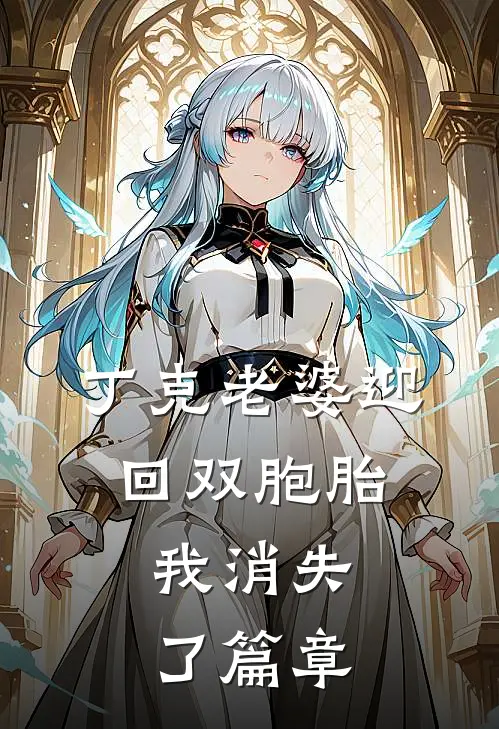 丁克老婆迎回双胞胎，我消失了篇章