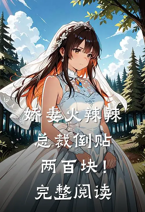 娇妻火辣辣，总裁倒贴两百块！完整阅读