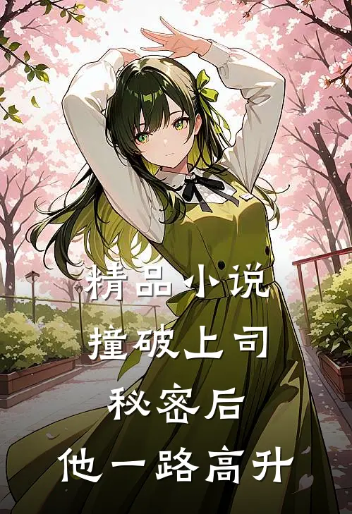 精品小说撞破上司秘密后，他一路高升