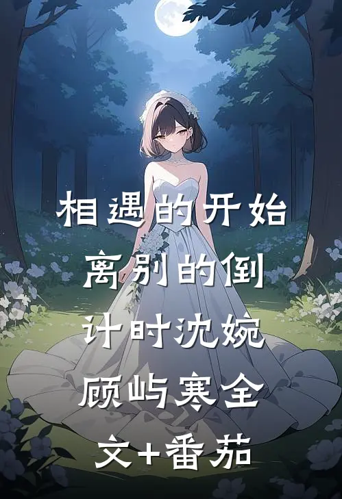 相遇的开始，离别的倒计时沈婉顾屿寒全文+番茄