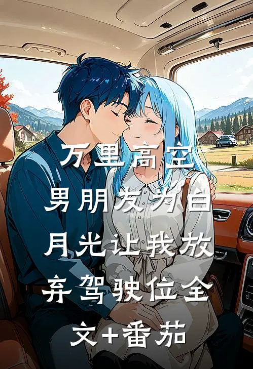 万里高空，男朋友为白月光让我放弃驾驶位全文+番茄
