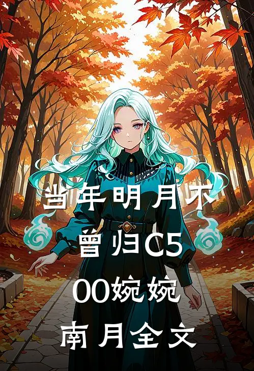 当年明月不曾归C500婉婉南月全文
