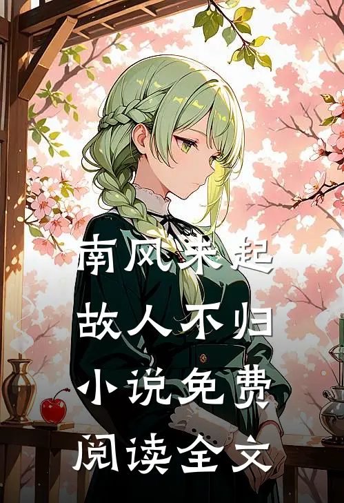 南风未起，故人不归小说免费阅读全文