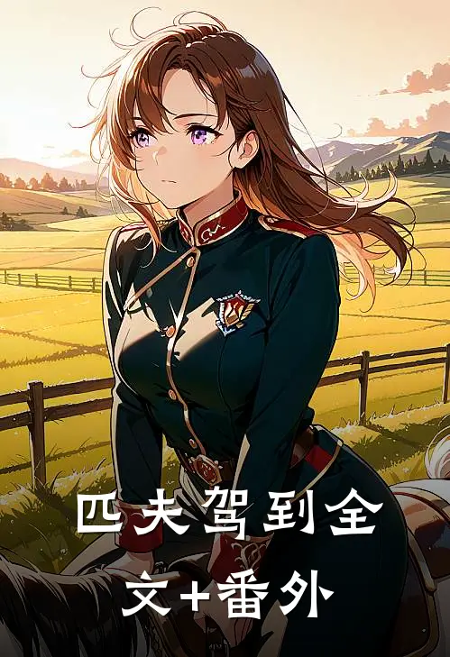 匹夫驾到全文+番外