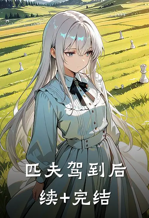 匹夫驾到后续+完结