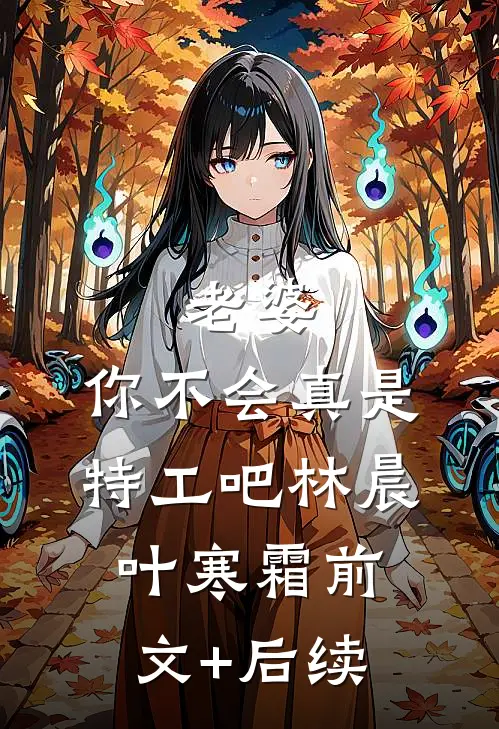 老婆，你不会真是特工吧林晨叶寒霜前文+后续