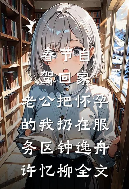 春节自驾回家，老公把怀孕的我扔在服务区钟逸舟许忆柳全文