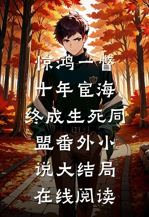惊鸿一瞥：十年宦海，终成生死同盟番外小说大结局在线阅读