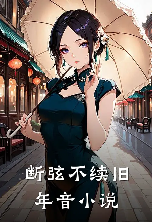 断弦不续旧年音小说