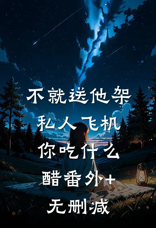 不就送他架私人飞机，你吃什么醋番外+无删减