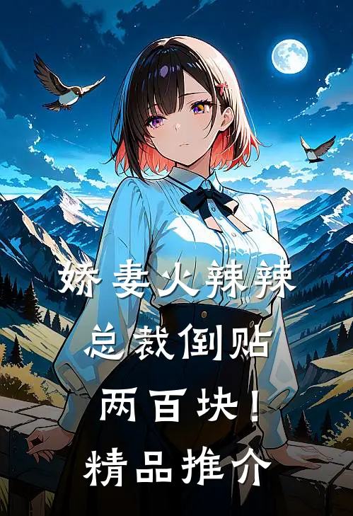 娇妻火辣辣，总裁倒贴两百块！精品推介