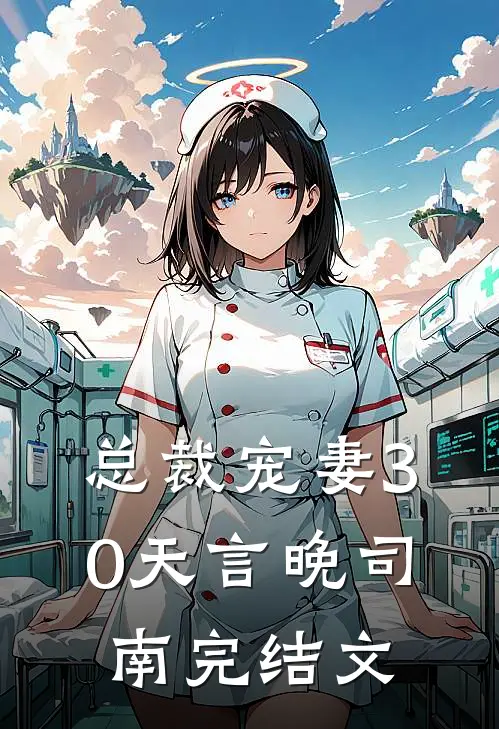 总裁宠妻30天言晚司南完结文