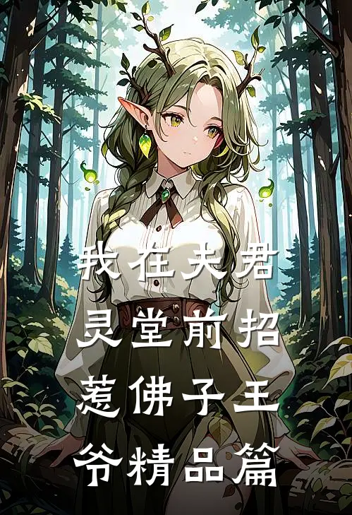 我在夫君灵堂前招惹佛子王爷精品篇