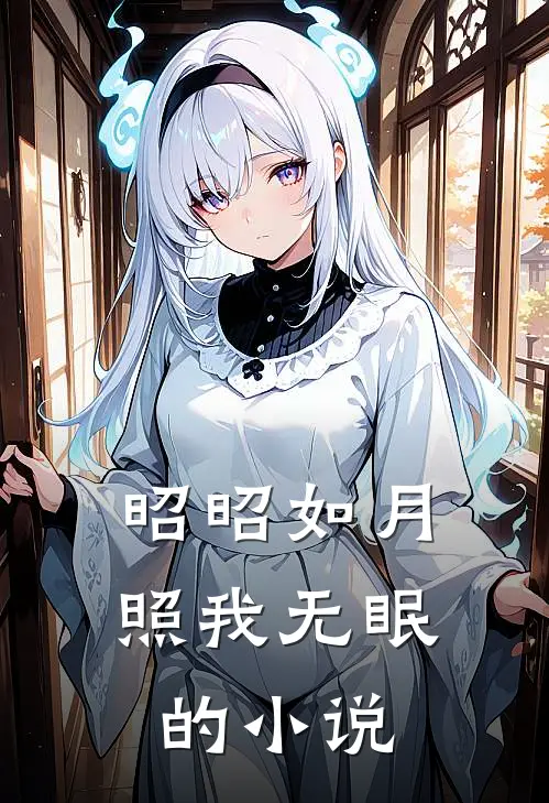 昭昭如月，照我无眠的小说
