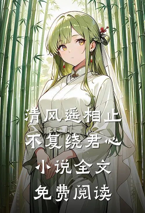 清风遥相止，不复绕君心小说全文免费阅读