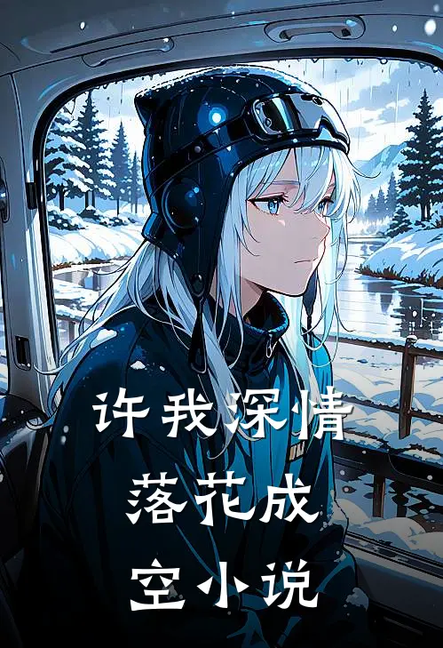 许我深情，落花成空小说