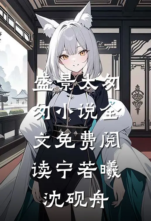 盛景太匆匆小说全文免费阅读宁若曦沈砚舟