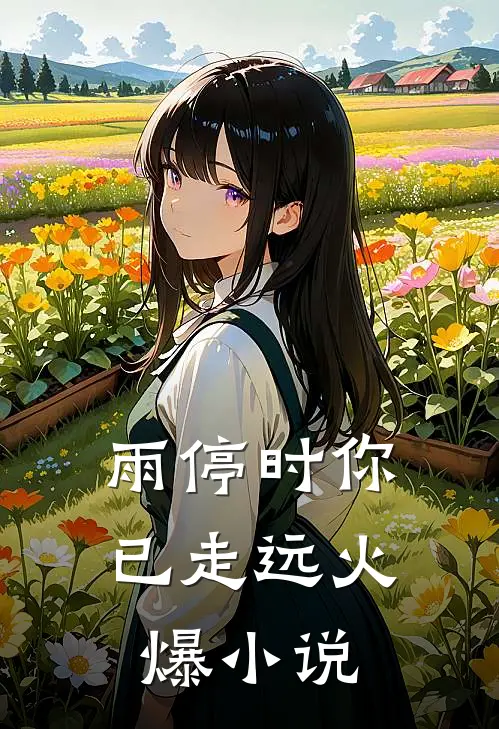 雨停时你已走远火爆小说