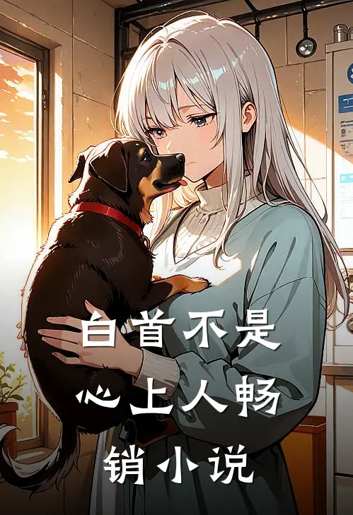 白首不是心上人畅销小说