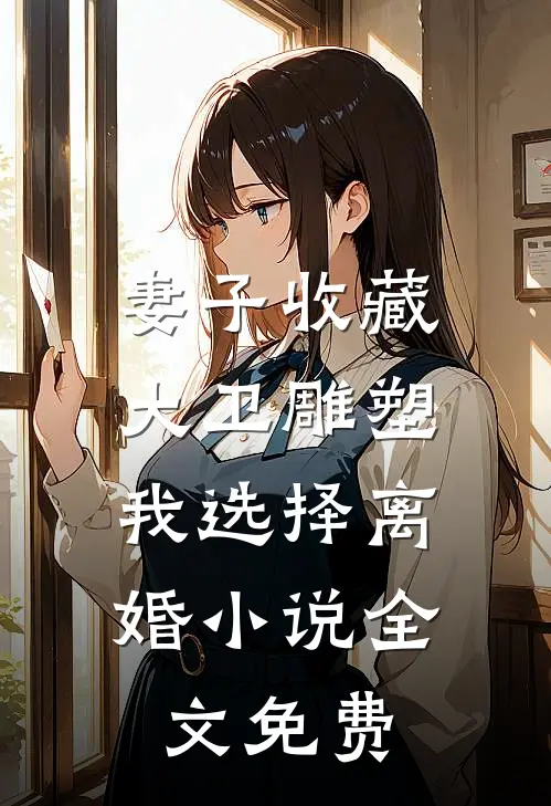 妻子收藏大卫雕塑，我选择离婚小说全文免费