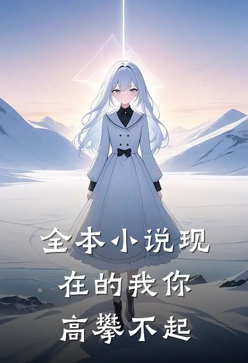 全本小说现在的我你高攀不起