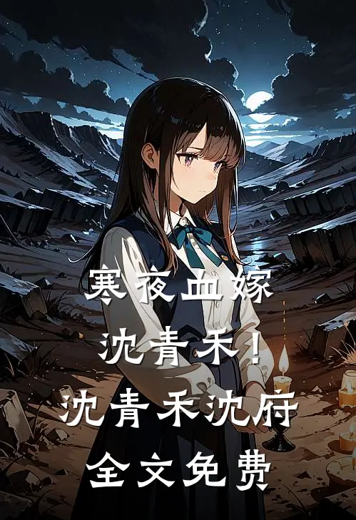 寒夜血嫁:沈青禾！沈青禾沈府全文免费