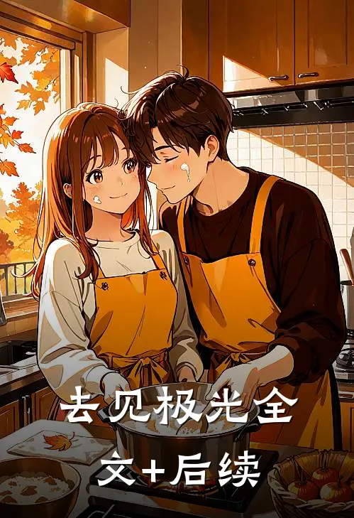 去见极光全文+后续