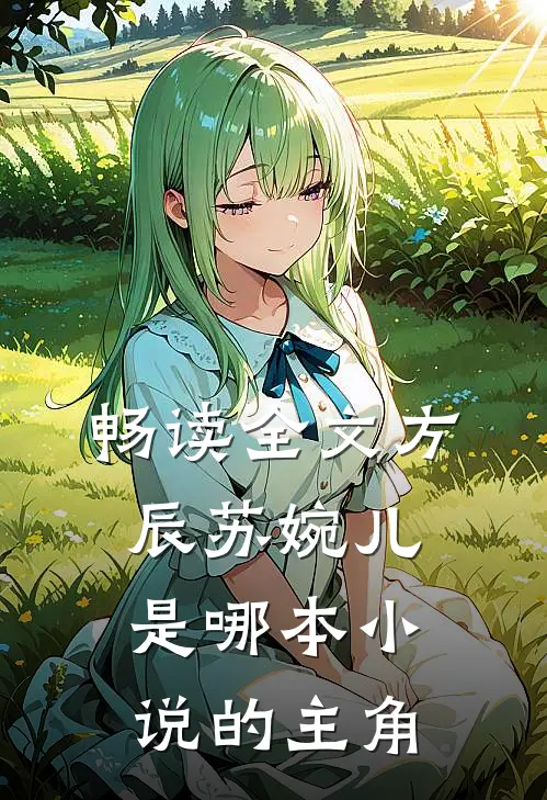 畅读全文方辰苏婉儿是哪本小说的主角