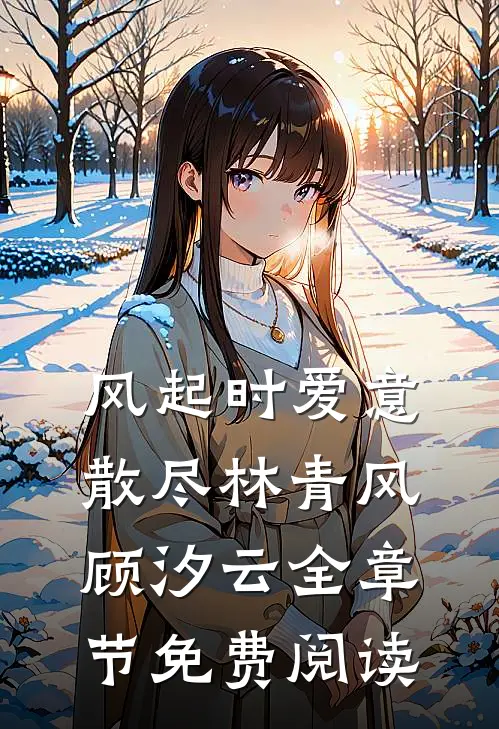 风起时爱意散尽林青风顾汐云全章节免费阅读