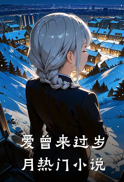 爱曾来过岁月热门小说