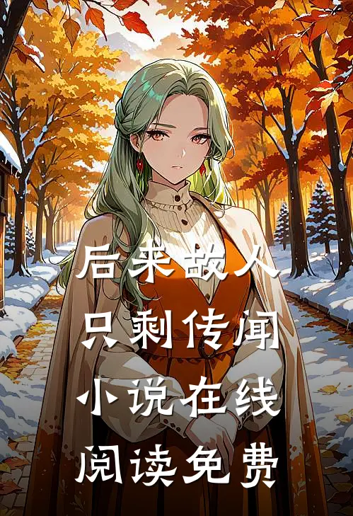 后来故人只剩传闻小说在线阅读免费