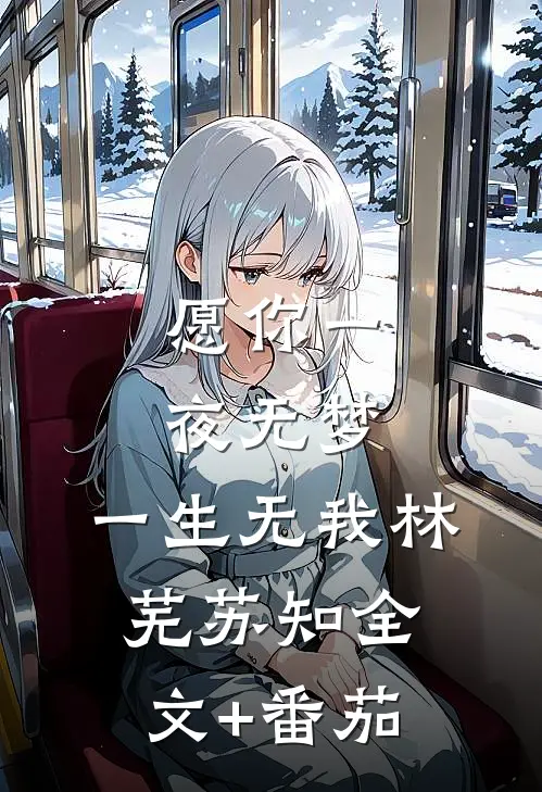 愿你一夜无梦，一生无我林芜苏知全文+番茄
