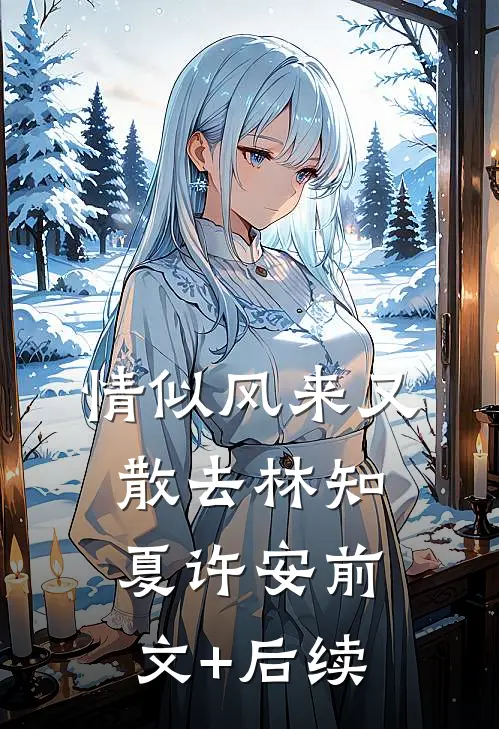 情似风来又散去林知夏许安前文+后续