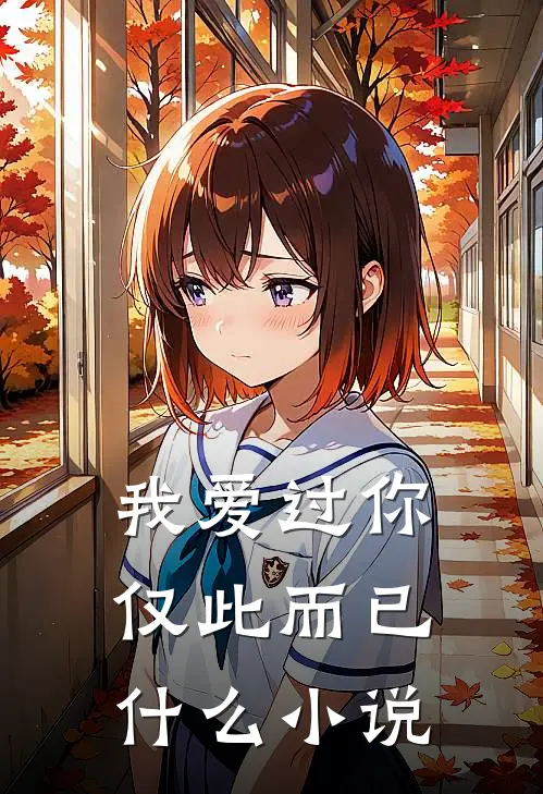 我爱过你，仅此而已什么小说