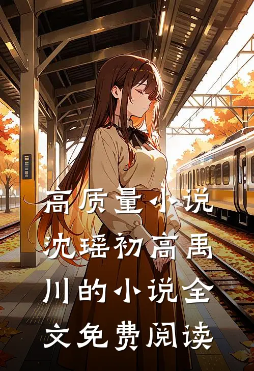 高质量小说沈瑶初高禹川的小说全文免费阅读
