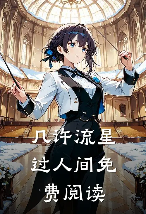 几许流星过人间免费阅读