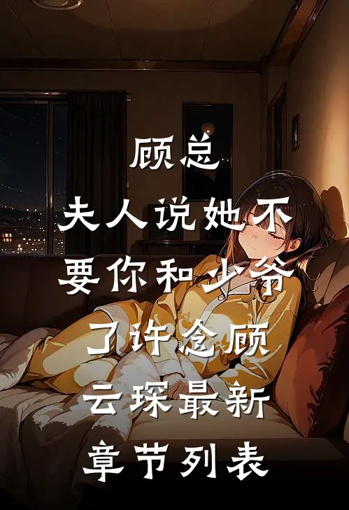 顾总，夫人说她不要你和少爷了许念顾云琛最新章节列表