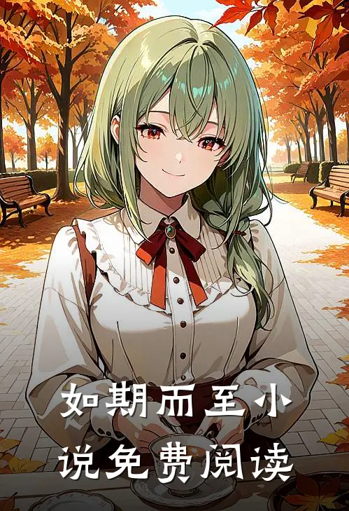 如期而至小说免费阅读