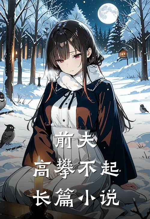 前夫，高攀不起长篇小说