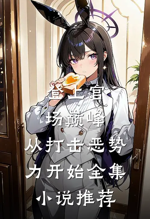 登上官场巅峰，从打击恶势力开始全集小说推荐