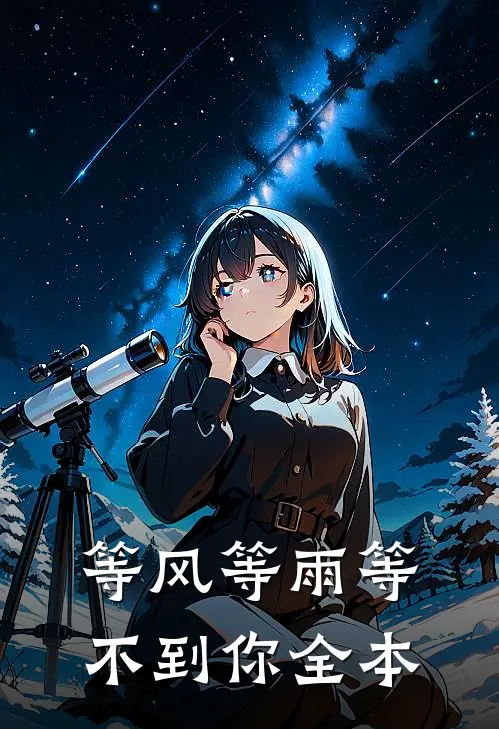等风等雨等不到你全本