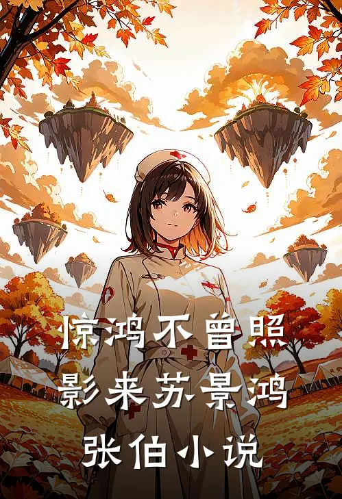 惊鸿不曾照影来苏景鸿张伯小说