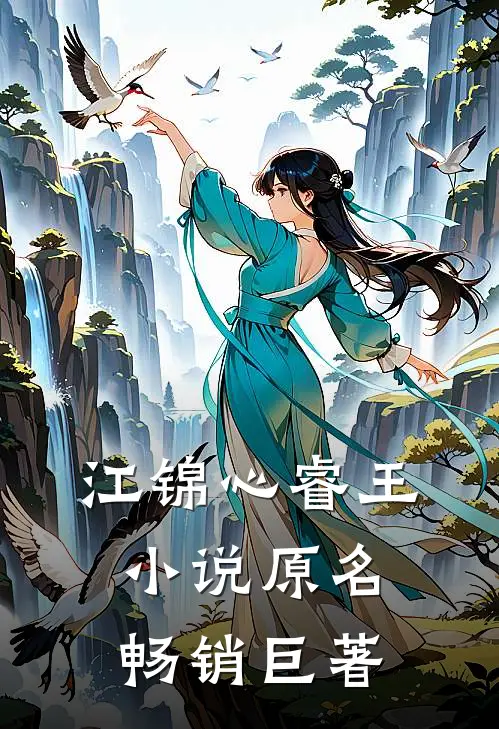江锦心睿王小说原名畅销巨著