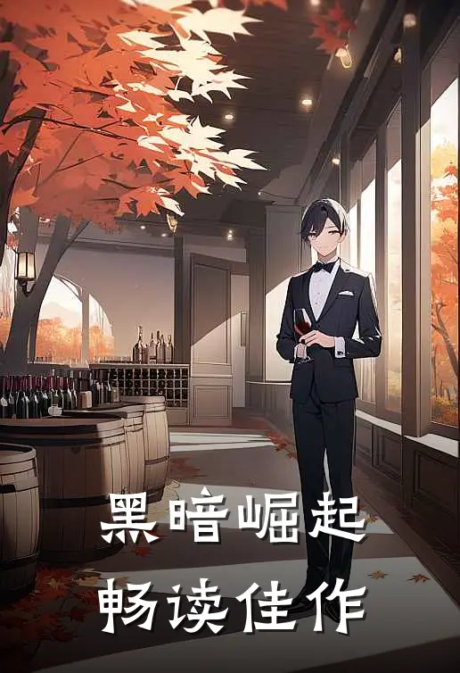 黑暗崛起畅读佳作