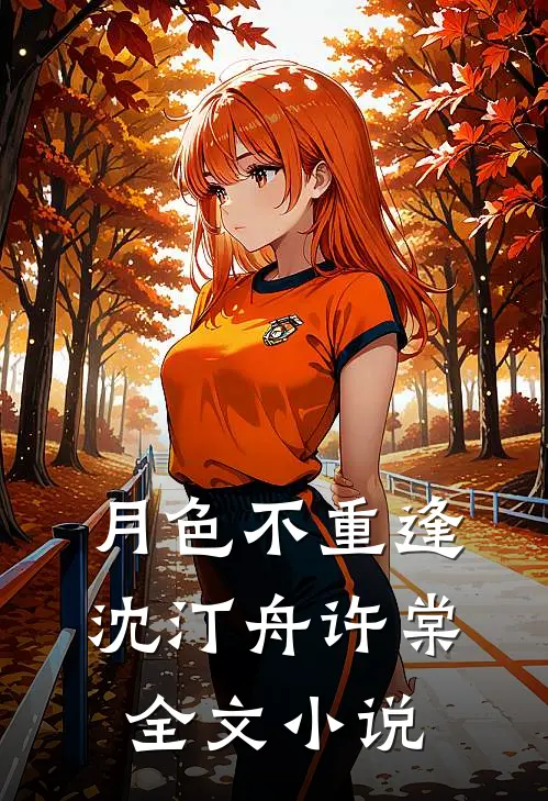月色不重逢沈汀舟许棠全文小说