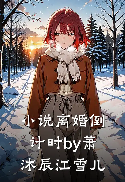 小说离婚倒计时by萧沐辰江雪儿
